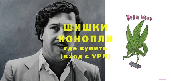 Альфа ПВП Аркадак