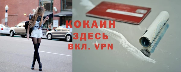 Альфа ПВП Аркадак