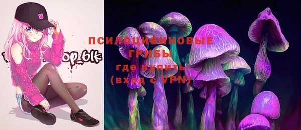 МДПВ Армянск