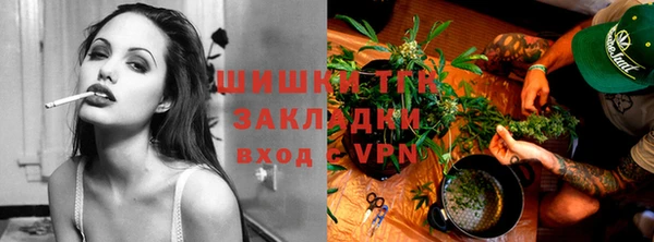 Альфа ПВП Аркадак