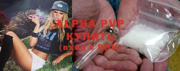 Альфа ПВП Аркадак