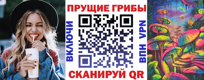 Галлюциногенные грибы Psilocybine cubensis  Сокол 